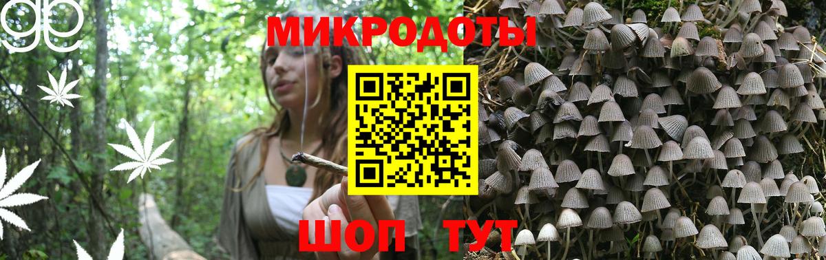 Галлюциногенные грибы Psilocybe  Вход с VPN  Ликино-Дулёво 